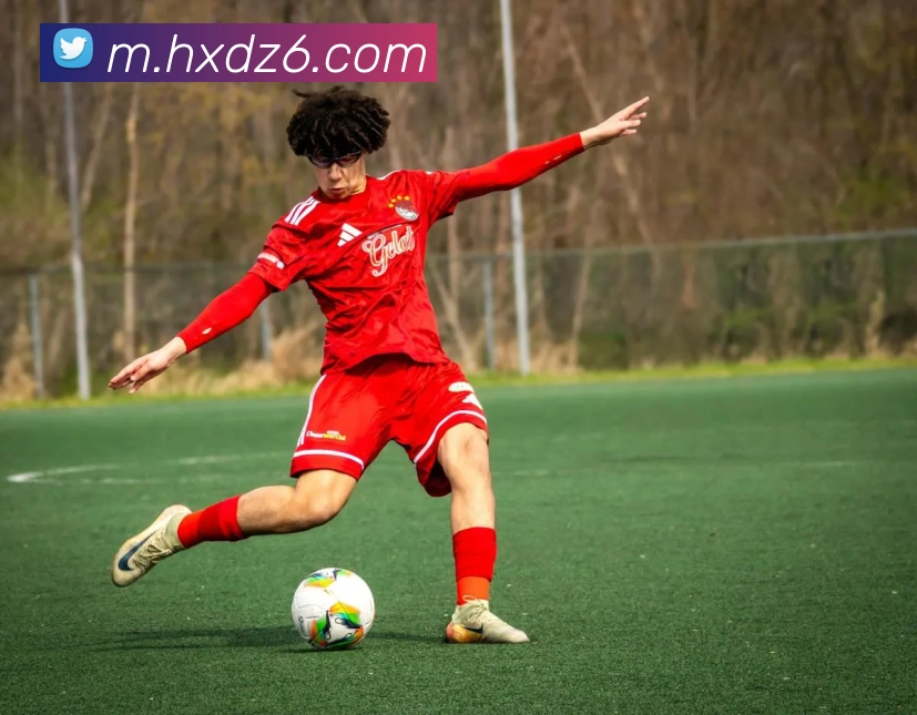 尊龙z6APP 封面图
